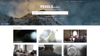 Pexels Videoları