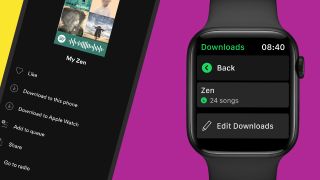 Apple Watch'ta çalışan bir Spotify örneği