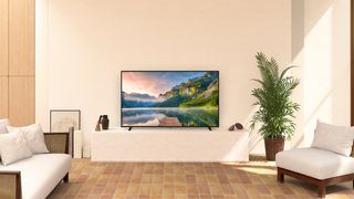 Panasonic TV 2021