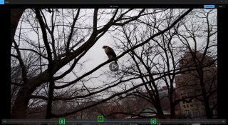 Başlat/durdur düğmeleri vurgulanmış olarak Windows Fotoğrafları ekran görüntüsündeki videoları düzenleyin