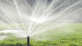 Çimleri püskürten sprinkler