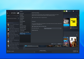 Steam Play'in etkin olduğunu gösteren Chromebook kurulum işleminde Steam