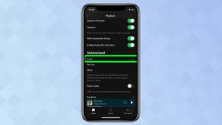 Spotify'daki ses ayarlarını gösteren bir iPhone ekran görüntüsü
