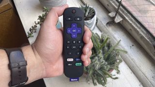 Bir elinde, bir kaktüsün üzerinde roku voice remote pro