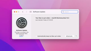 macOS'ta Evrensel Denetim özelliğinin ekran görüntüsü