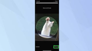 "Taşı ve ölçeklendir" seçeneklerini gösteren bir kedi fotoğrafı içeren iOS 15 ekran görüntüsü