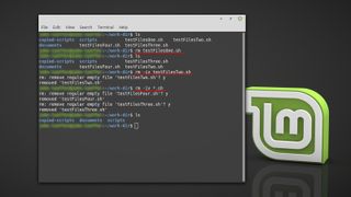 Linux Mint'in Komut Satırı Arayüzündeki Bir Dosyayı Silme