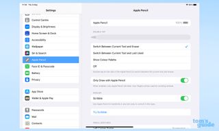 iPadOS Ayarları uygulamasının Apple Pencil alt menüsü