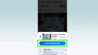 Instagram Reels nasıl indirilir - Video Downloader uygulamasında seçili olan hızlı indirme düğmesinin ekran görüntüsü