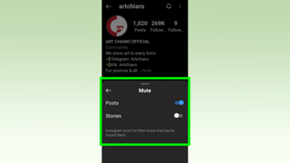 Instagram'da birinin sesi nasıl kapatılır - kaydırıcılar açıkken "sessiz" menüsünün ekran görüntüsü