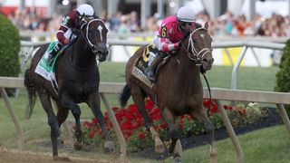 Preakness Stakes'te koşucular ve biniciler