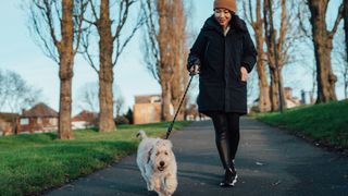 köpeği gezdiren bir kadının fotoğrafı