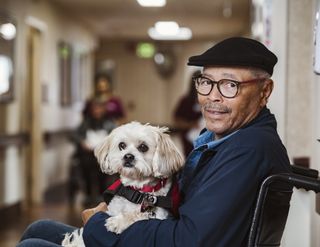 Adam tıbbi yardım köpeğini tekerlekli sandalyede tutuyor