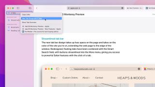 macOS Monterey'de Safari Sekme Grupları nasıl kullanılır?