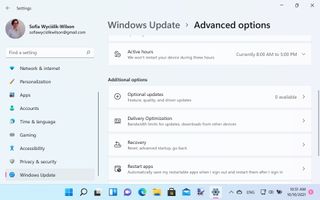 Windows Update için gelişmiş seçenekleri gösteren Windows 11 ekran görüntüsü