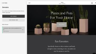 Squarespace'in web sitesi oluşturucusunun özel alan adı seçenekleri