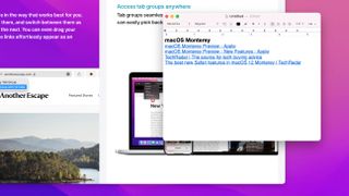 macOS Monterey'de Safari Sekme Grupları nasıl kullanılır?