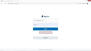 PayPal şifresi