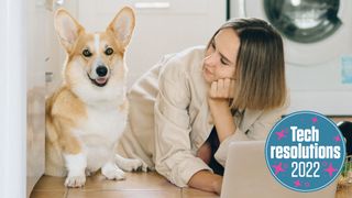 dizüstü bilgisayarda bir kadın bir corgi köpeğine bakıyor