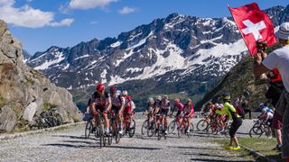 Arka planda karlı Alpler ile Tour de Suisse'deki peletondaki bisikletçi