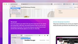 macOS Monterey'de Safari Sekme Grupları nasıl kullanılır?
