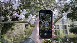 Fotoğraf Stilleri modunda bir iPhone tutan el