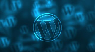 wordpress şifre