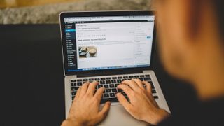 WordPress sitesini düzenleyen kişi