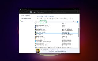 Windows 11 Denetim Masasında kaldırılmak üzere vurgulanan bir program