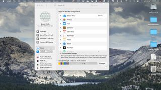 macOS Big Sur'da iCloud ayarları